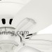 Hunter 51077 Hunter Newsome Low Profile with 3 Kit Ceiling Fan with Light  42"  Fresh White - B076HWPN7V